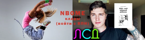 прущие грибы Абинск