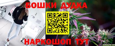 прущие грибы Нарткала