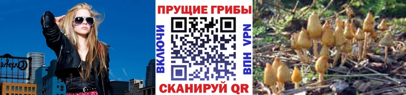 Псилоцибиновые грибы GOLDEN TEACHER  продажа наркотиков  Хабаровск 