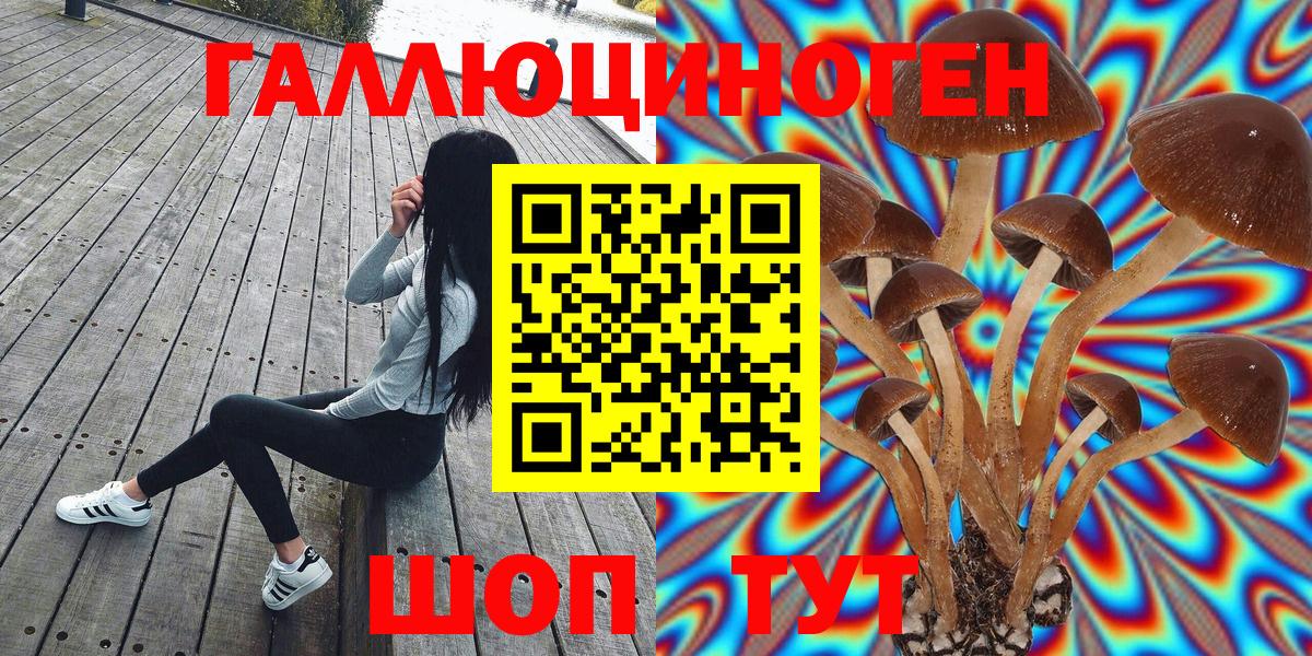 Псилоцибиновые грибы Cubensis Хабаровск